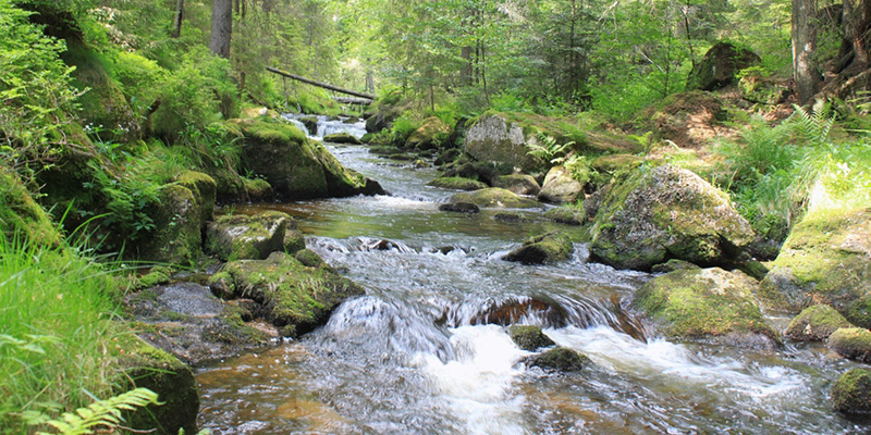 wassertitel